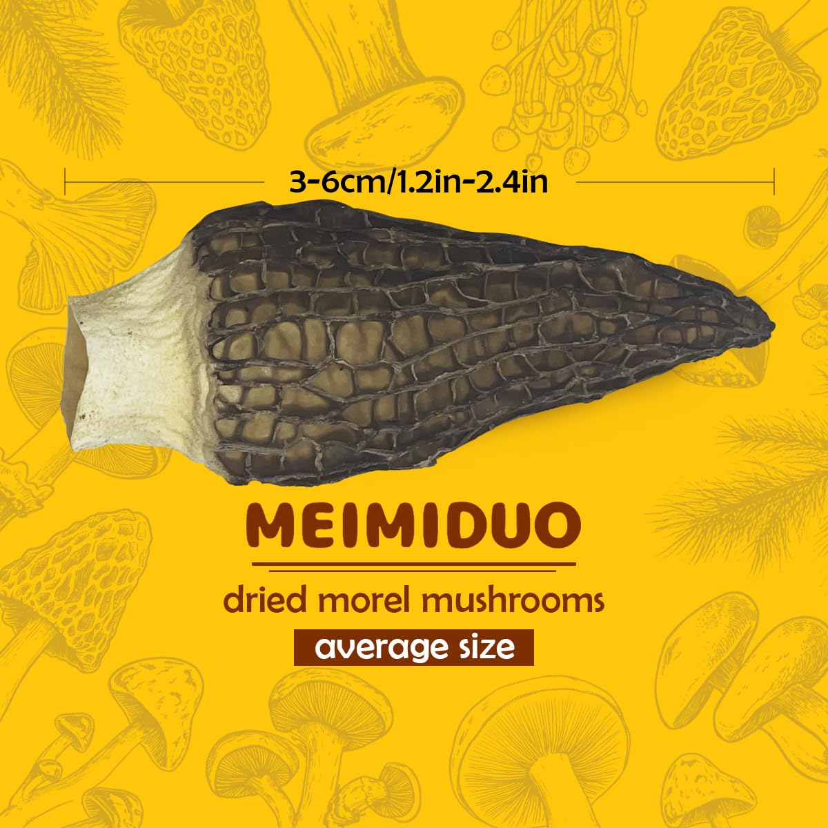 MEIMIDUO 2 Oz(56.7g) Grade AAA Dried Morel Mushrooms (Morchella Conica) for Cooking, Keto Friendly, Gluten-Free, Fat-Free, Sugar-Free, No additives, Healthy, Nutritious & Umami Morel Mushrooms